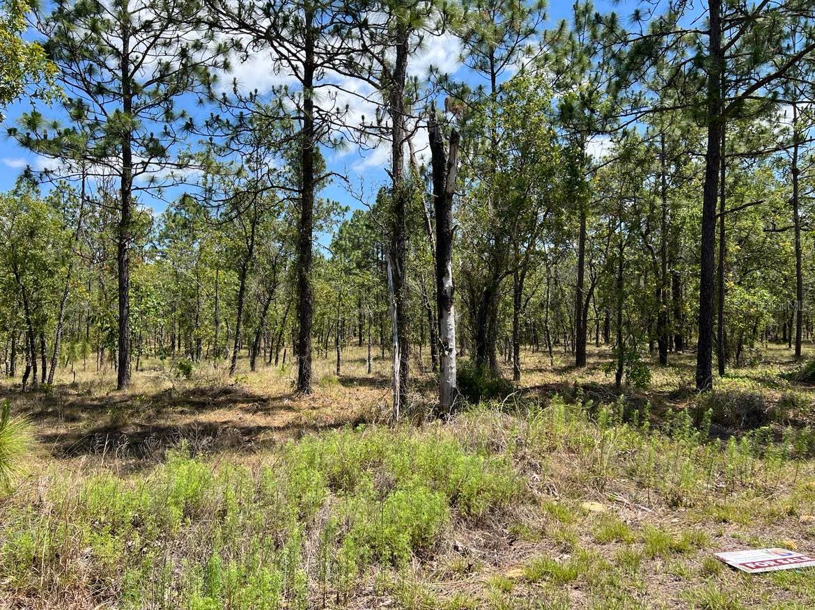 NW AMBERJACK, LOT #33, DUNNELLON, FL, 34431