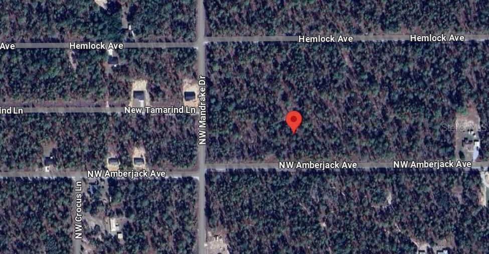 NW AMBERJACK, LOT #33, DUNNELLON, FL, 34431