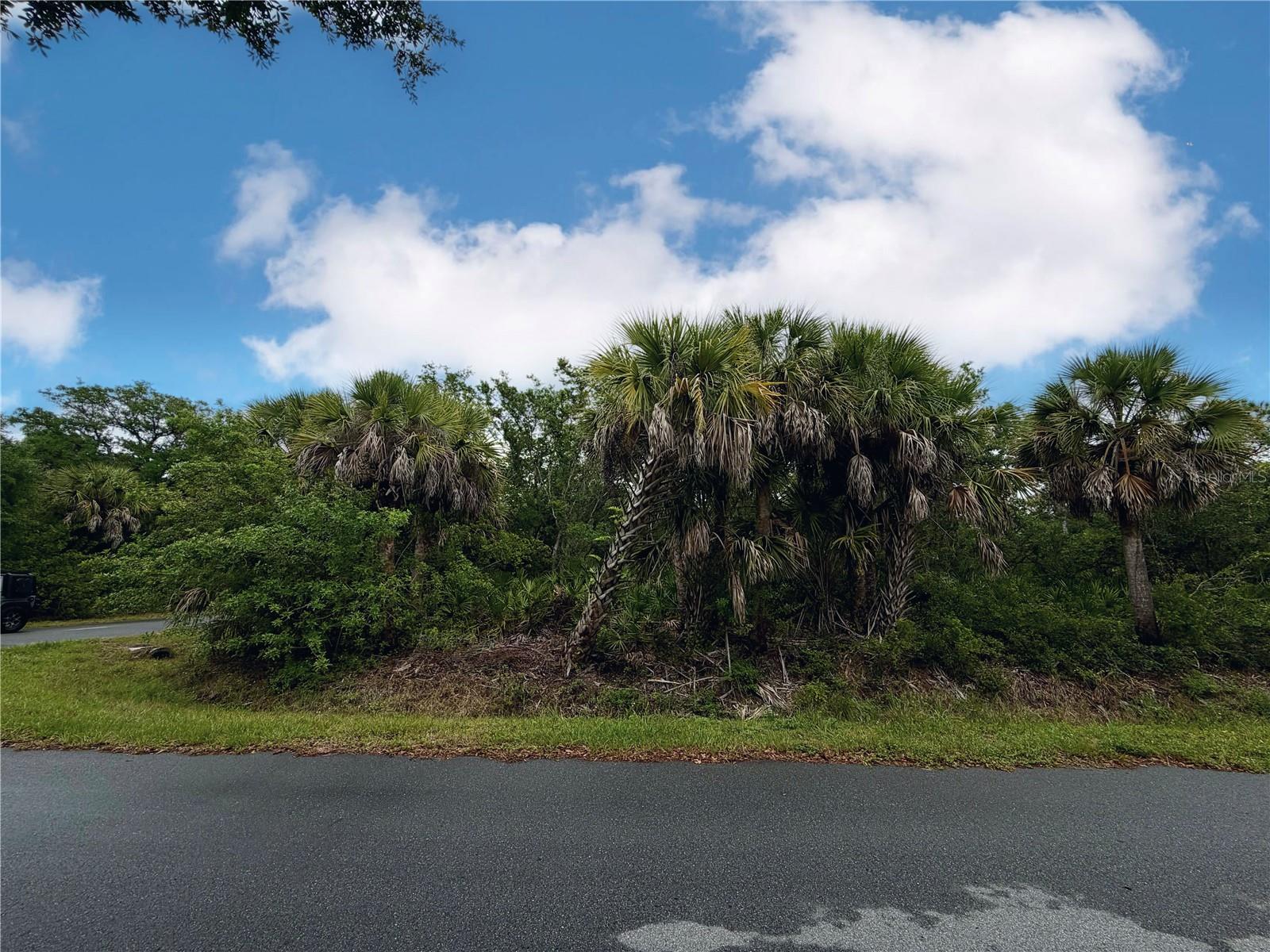 18039 SAVAGE AVE, PORT CHARLOTTE, FL, 33948