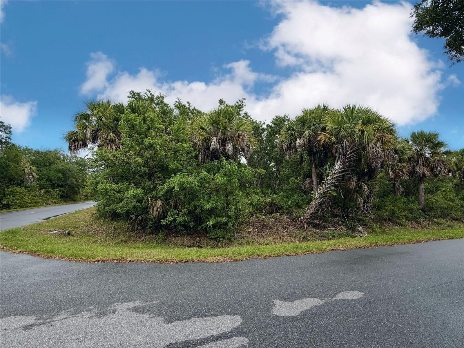 18039 SAVAGE AVE, PORT CHARLOTTE, FL, 33948