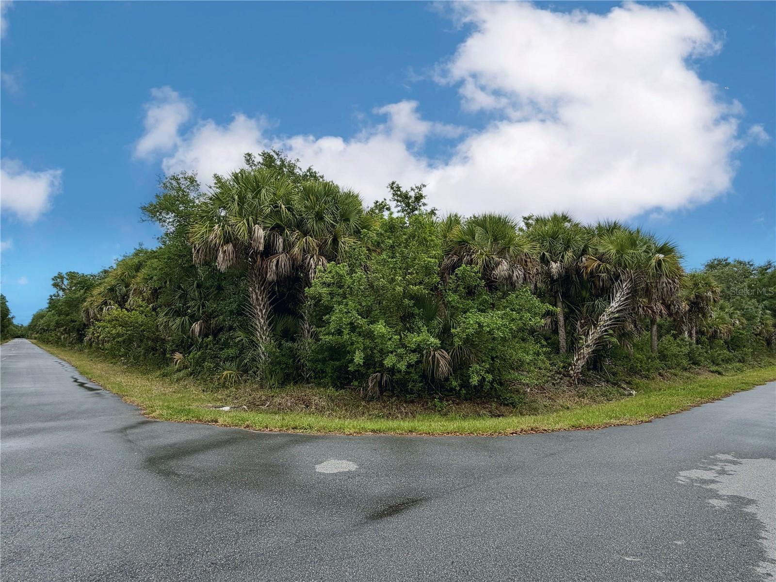 18039 SAVAGE AVE, PORT CHARLOTTE, FL, 33948