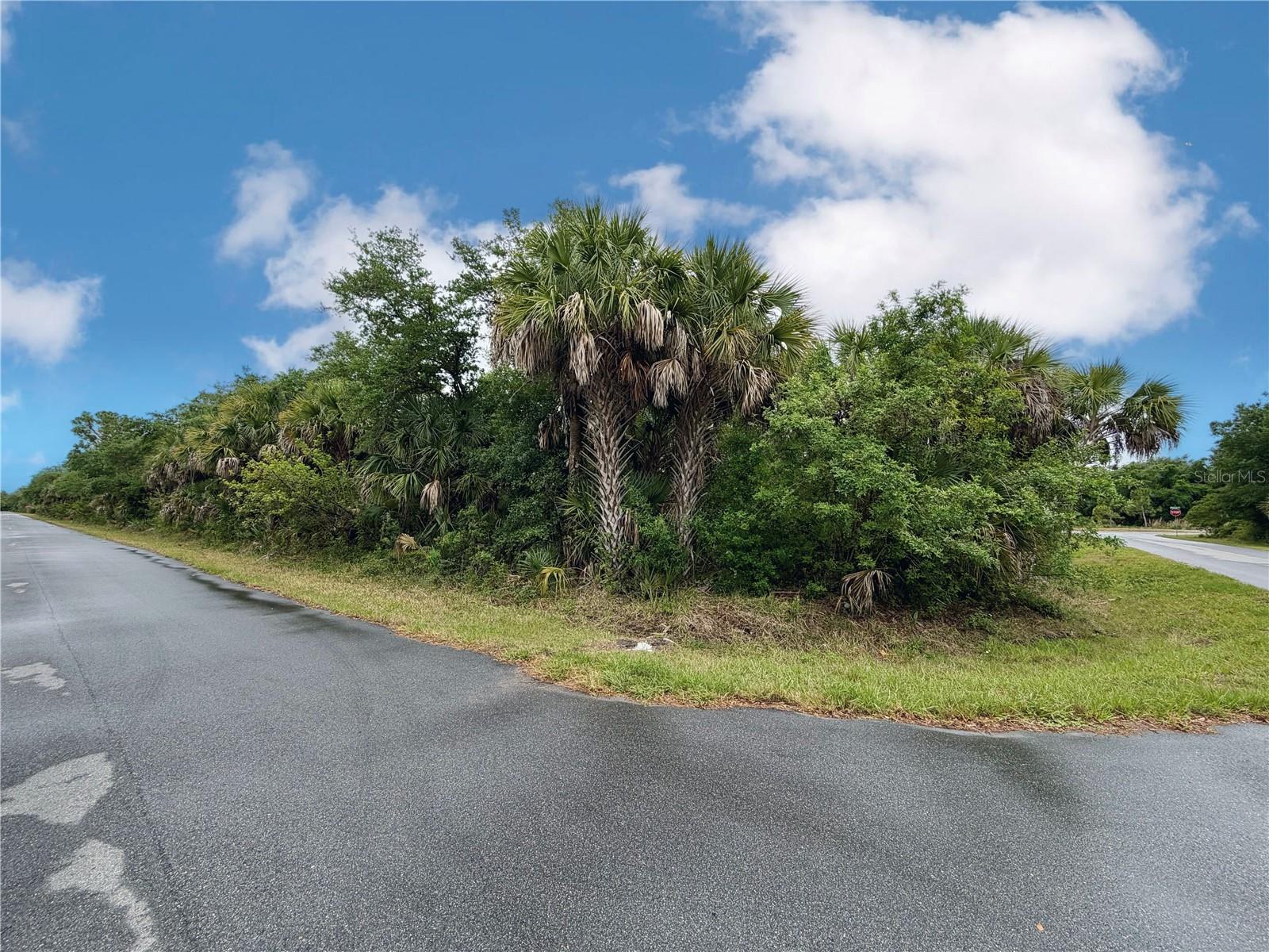18039 SAVAGE AVE, PORT CHARLOTTE, FL, 33948