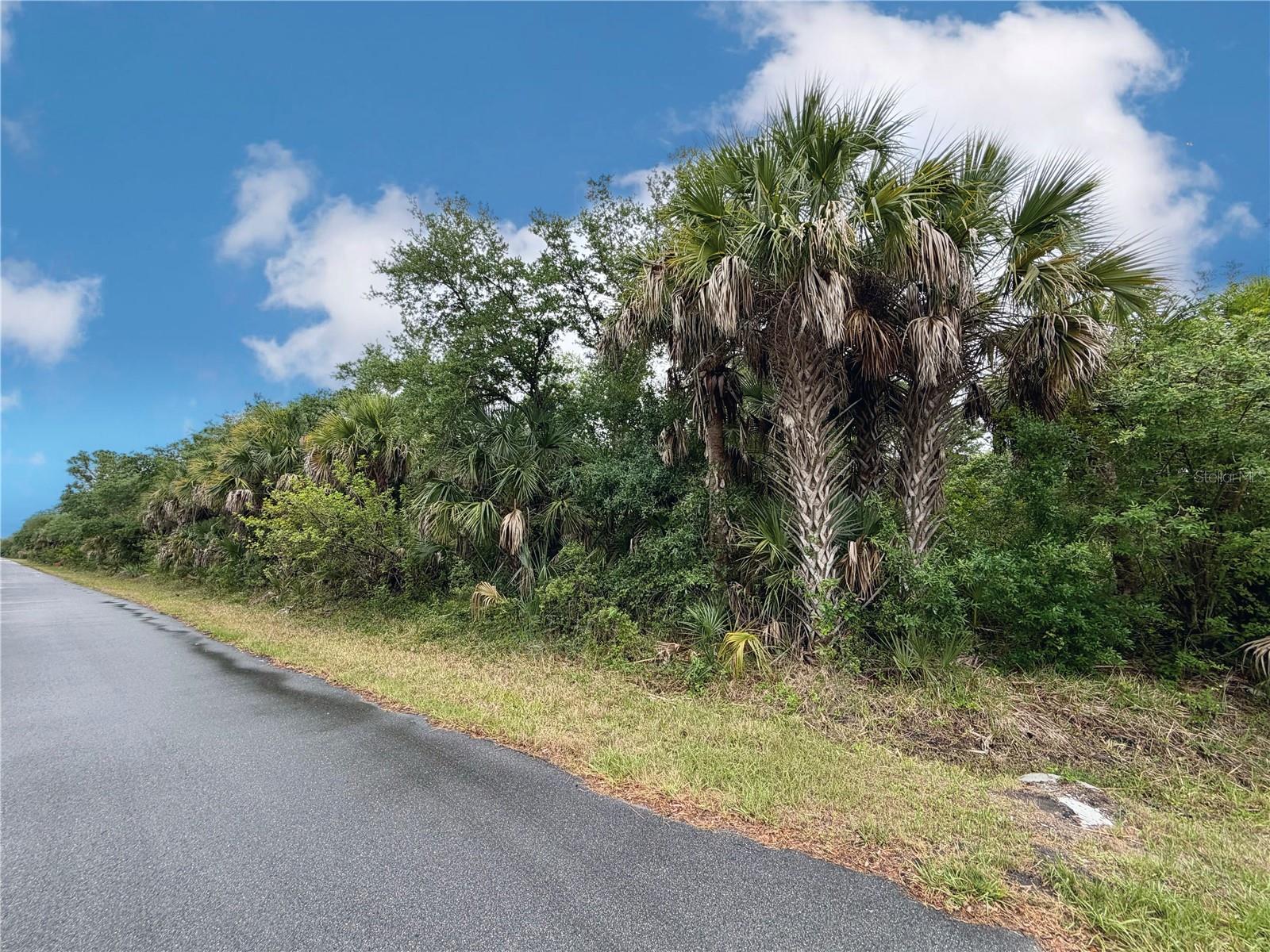 18039 SAVAGE AVE, PORT CHARLOTTE, FL, 33948
