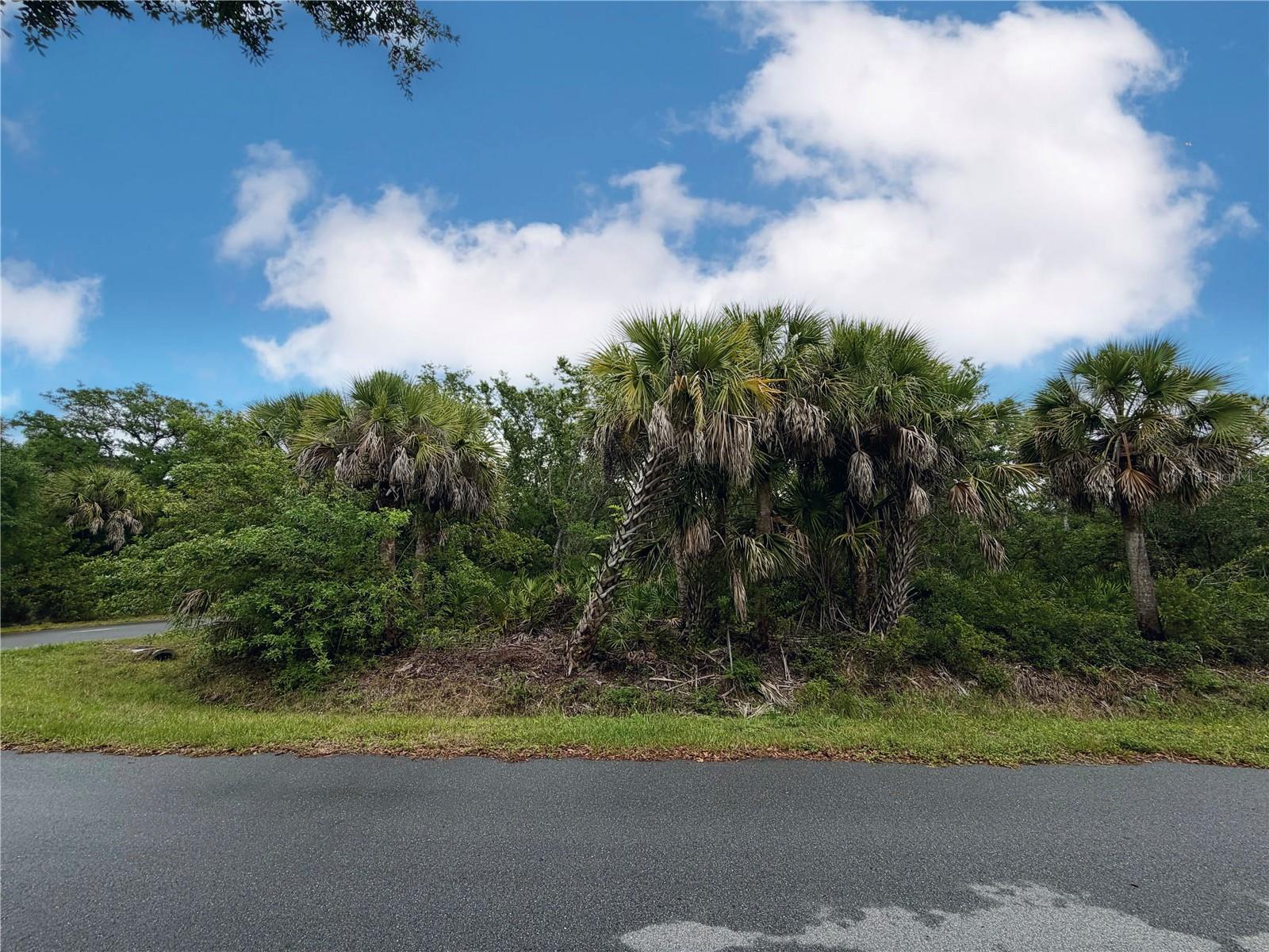 18039 SAVAGE AVE, PORT CHARLOTTE, FL, 33948