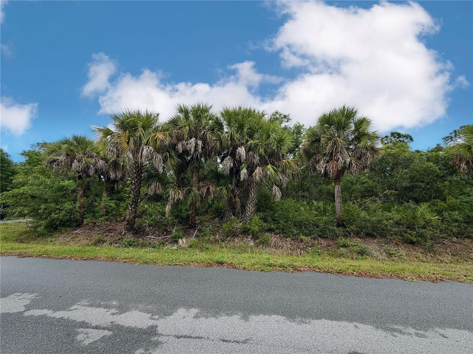18039 SAVAGE AVE, PORT CHARLOTTE, FL, 33948