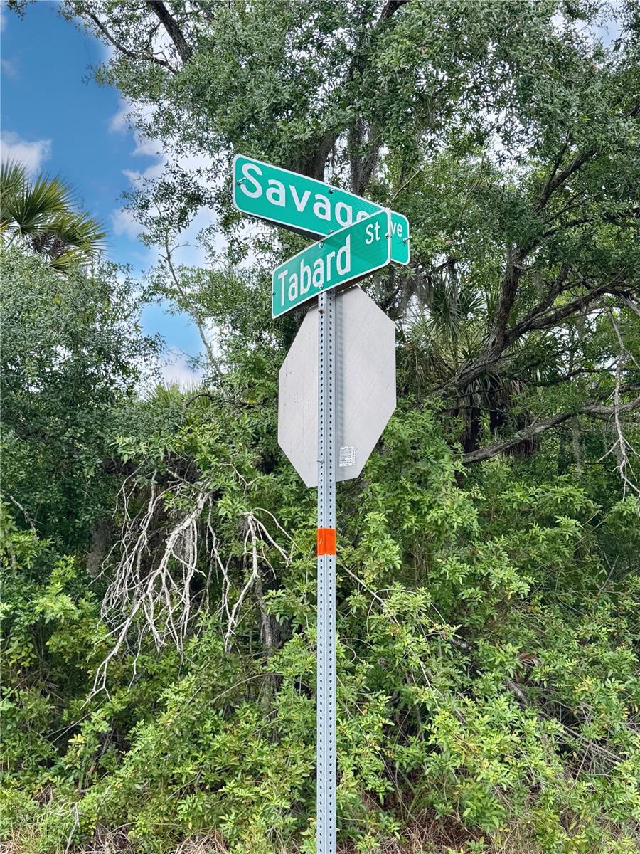 18039 SAVAGE AVE, PORT CHARLOTTE, FL, 33948