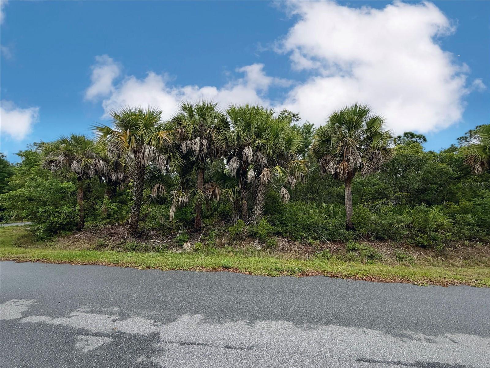 18039 SAVAGE AVE, PORT CHARLOTTE, FL, 33948