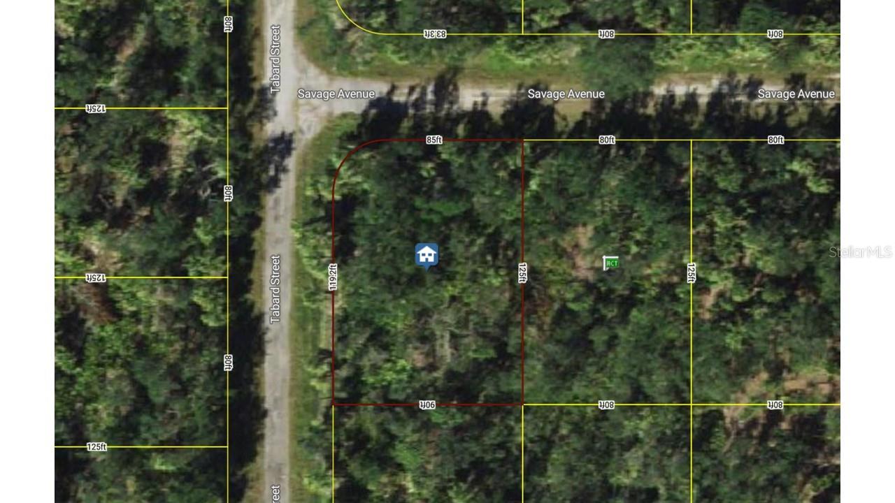 18039 SAVAGE AVE, PORT CHARLOTTE, FL, 33948