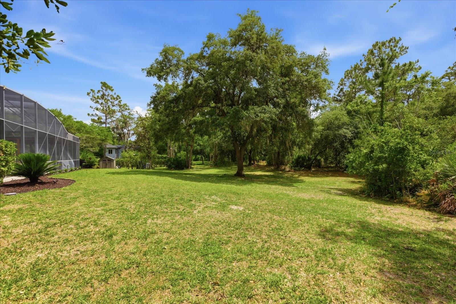 14106 OAKWOOD COVE LN, ORLANDO, FL, 32832