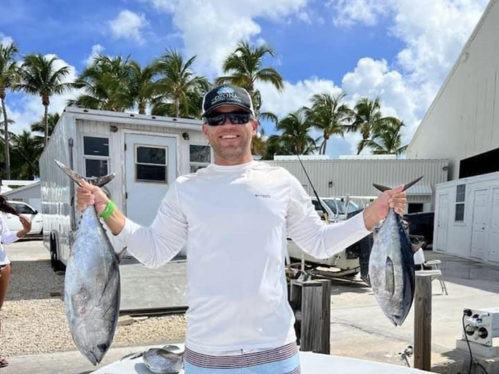 308 HAMMOCK DR, PALM HARBOR, FL, 34683