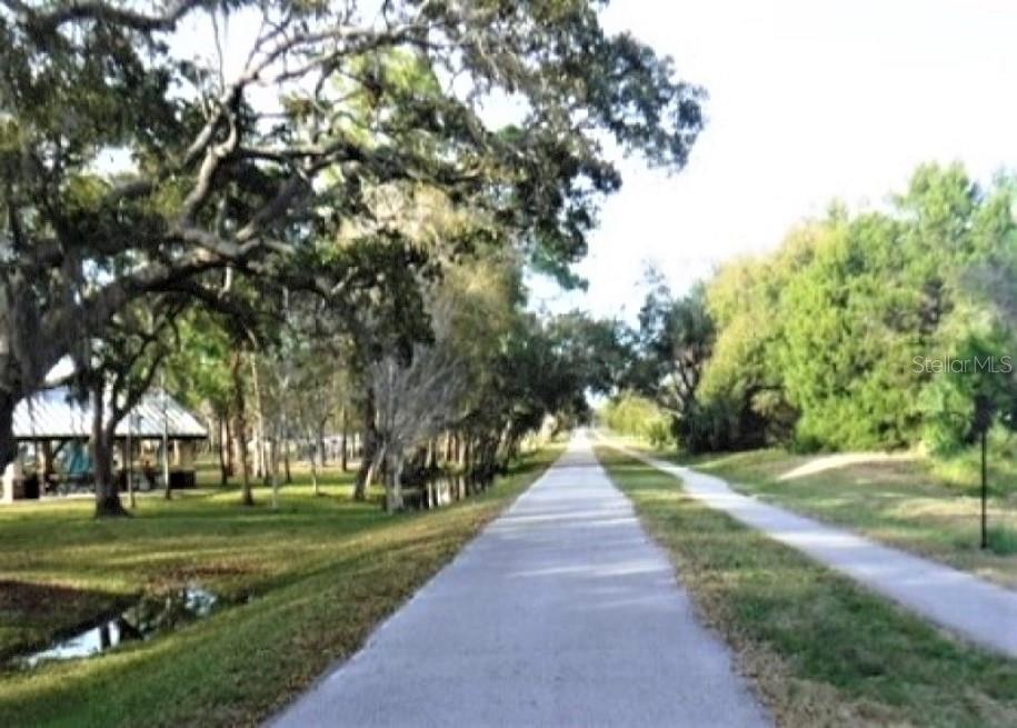 308 HAMMOCK DR, PALM HARBOR, FL, 34683