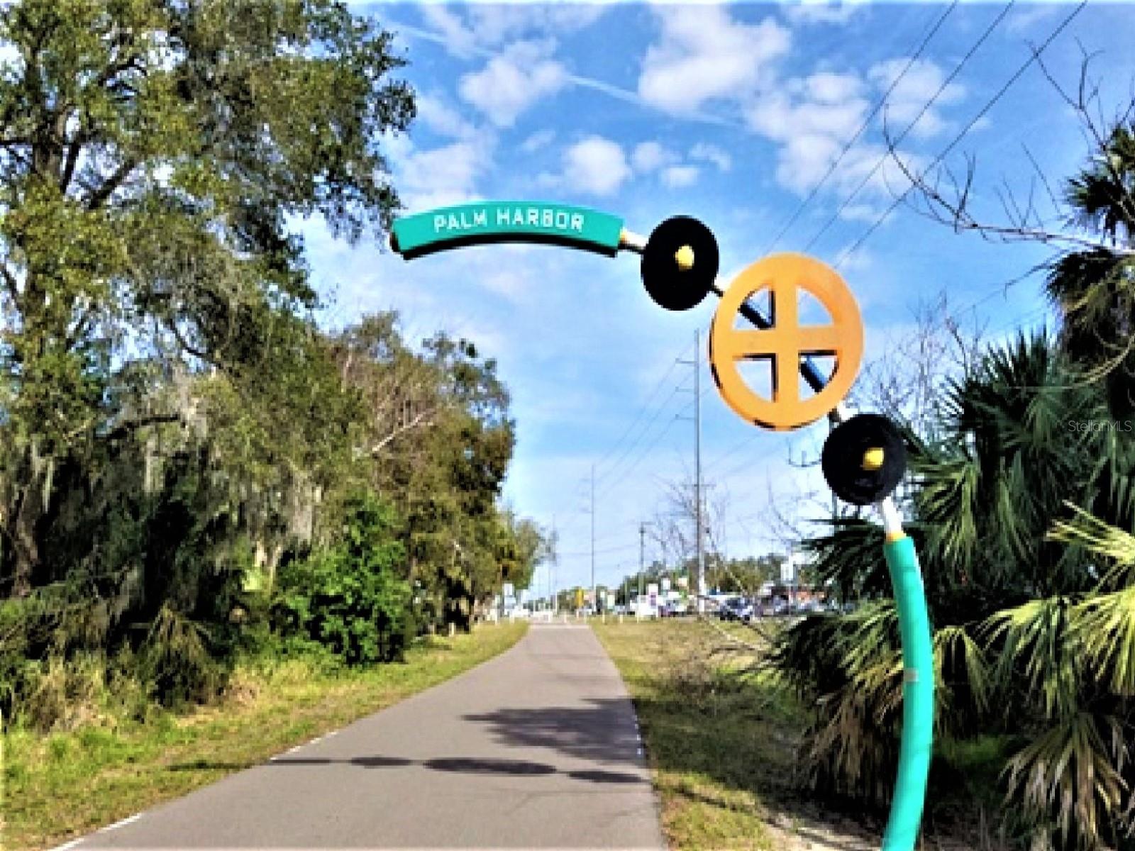 308 HAMMOCK DR, PALM HARBOR, FL, 34683