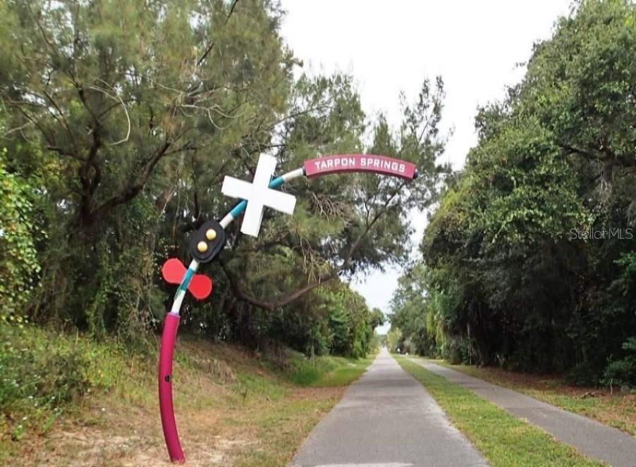 308 HAMMOCK DR, PALM HARBOR, FL, 34683
