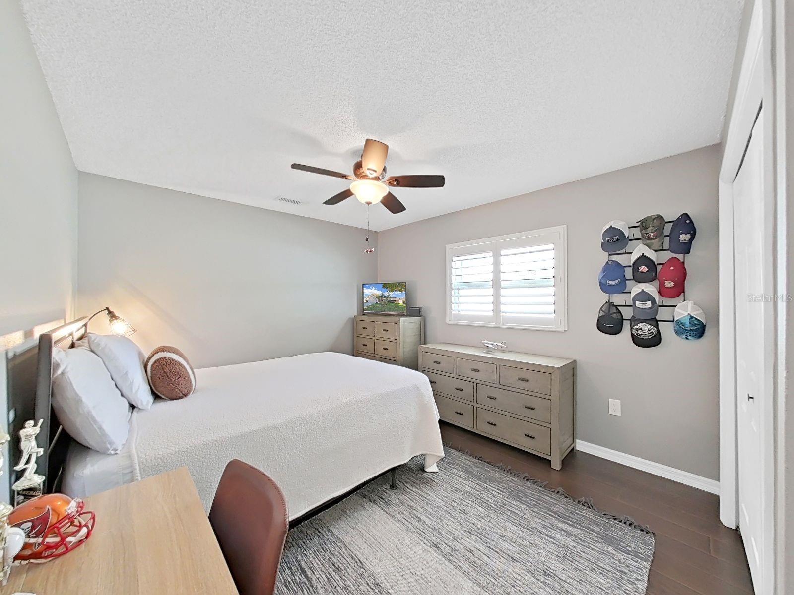 308 HAMMOCK DR, PALM HARBOR, FL, 34683
