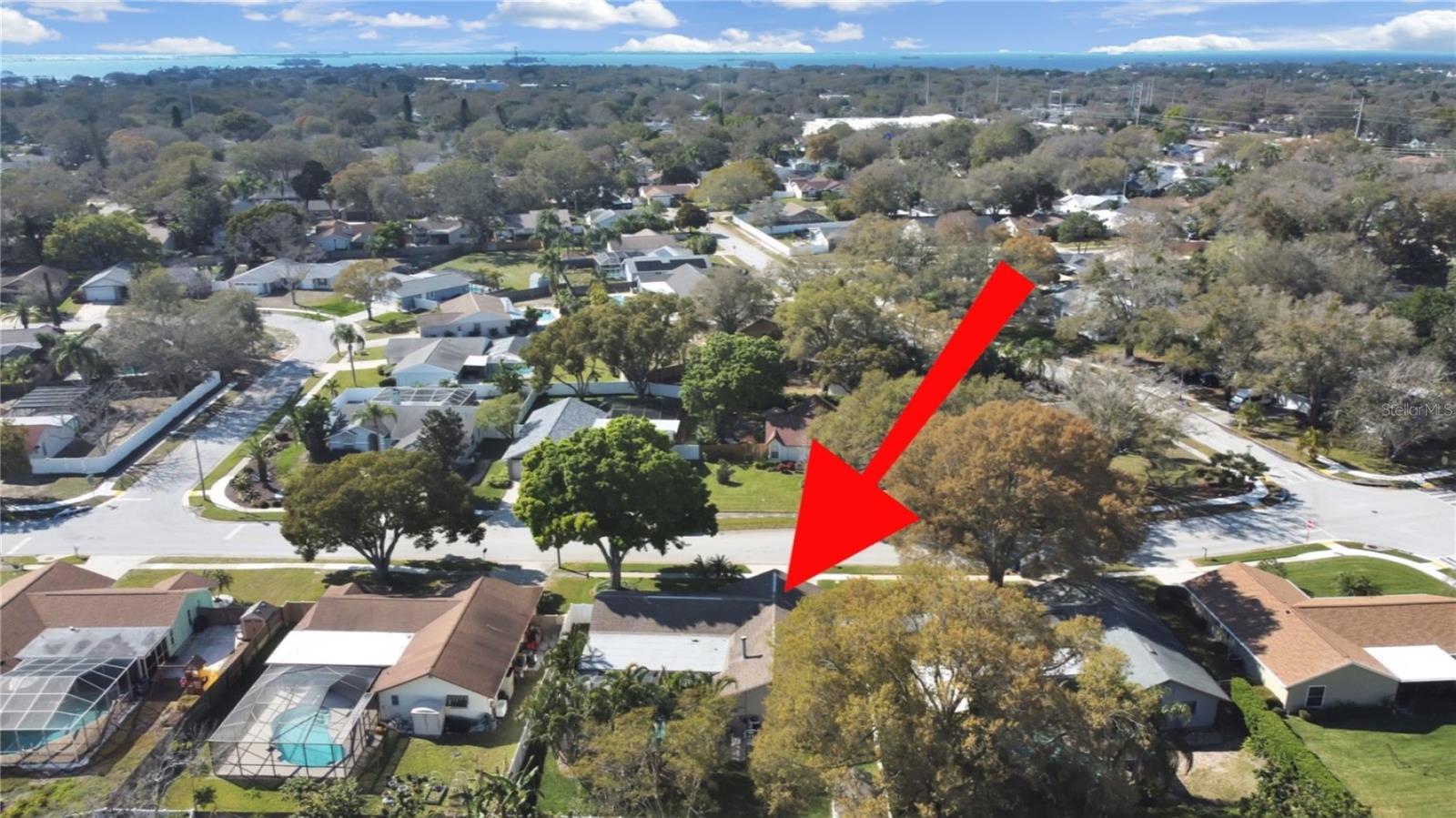 308 HAMMOCK DR, PALM HARBOR, FL, 34683