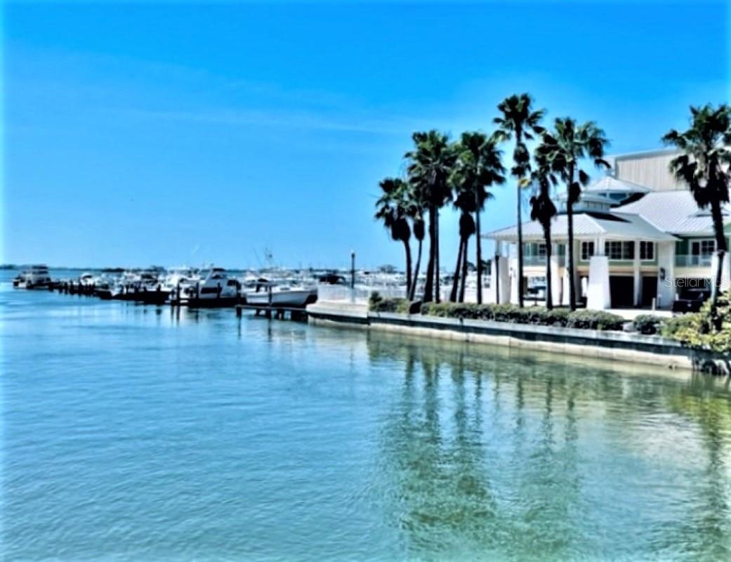 308 HAMMOCK DR, PALM HARBOR, FL, 34683