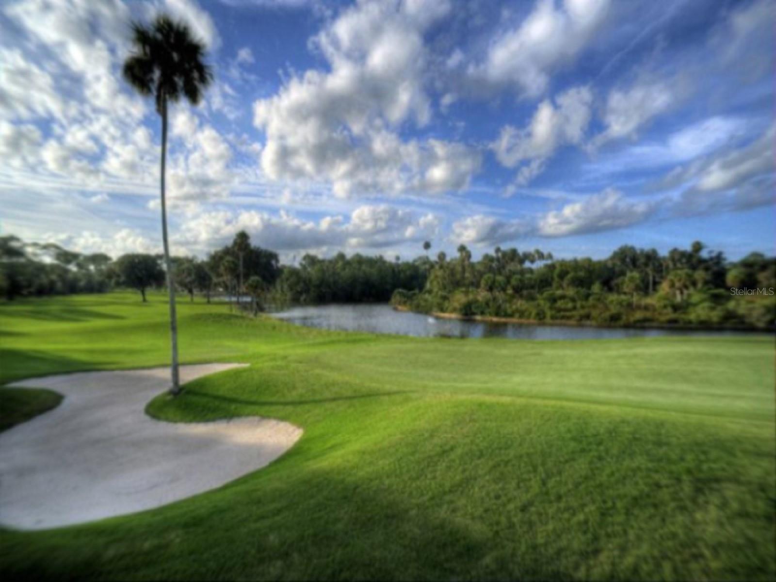 308 HAMMOCK DR, PALM HARBOR, FL, 34683