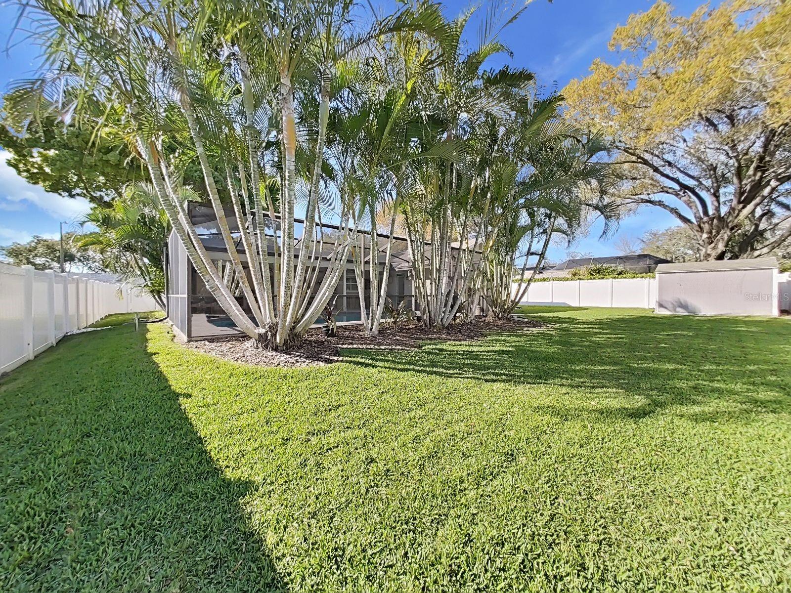 308 HAMMOCK DR, PALM HARBOR, FL, 34683