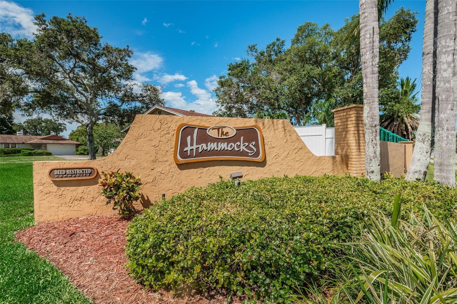 308 HAMMOCK DR, PALM HARBOR, FL, 34683
