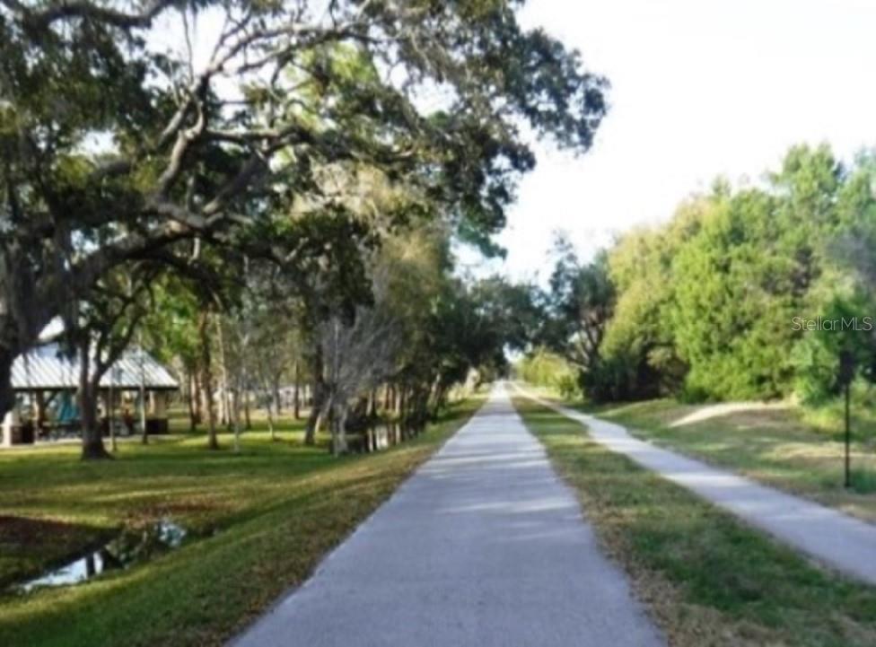 308 HAMMOCK DR, PALM HARBOR, FL, 34683