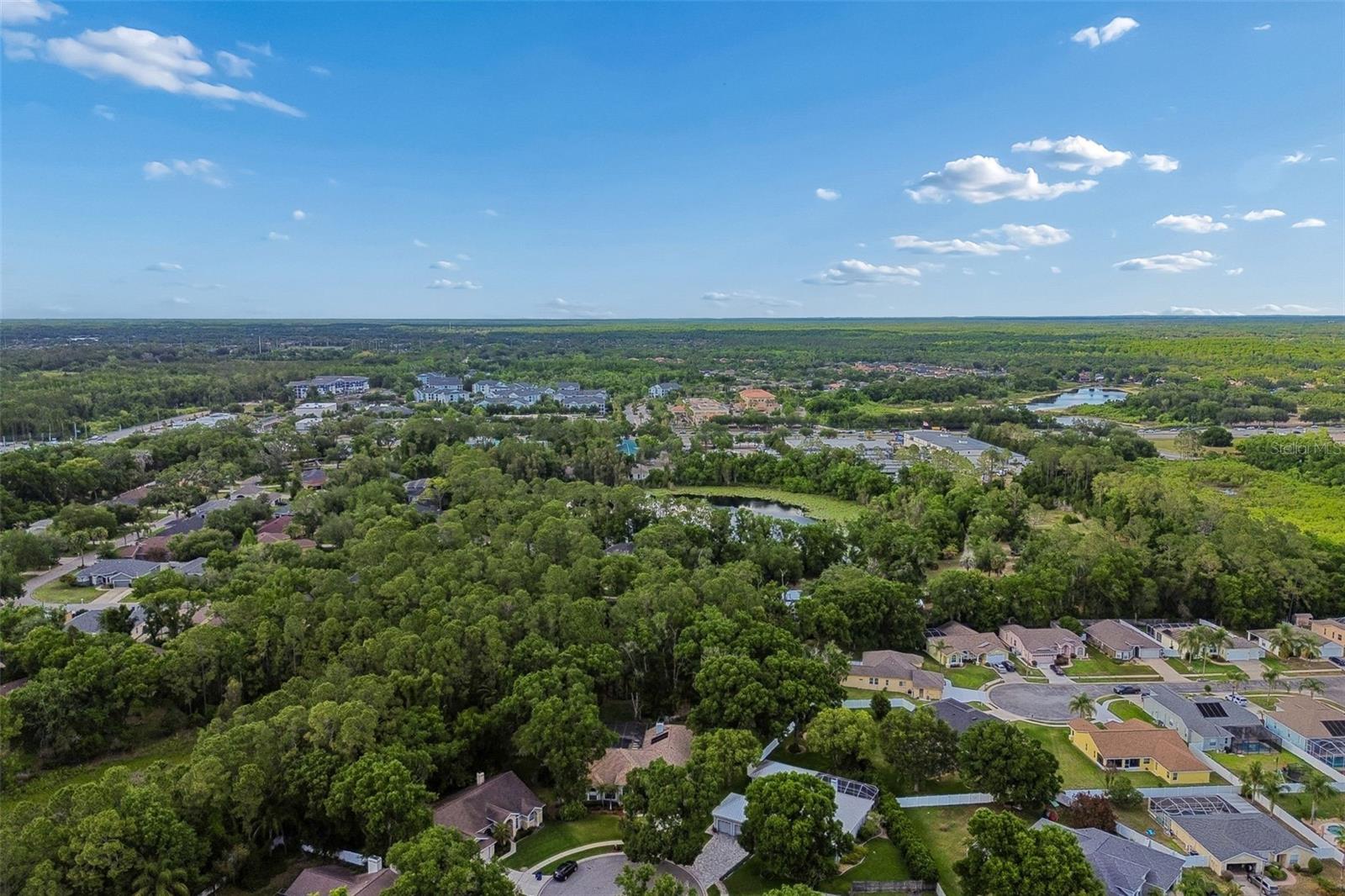 1661 WOODRIDGE CT, LUTZ, FL, 33559