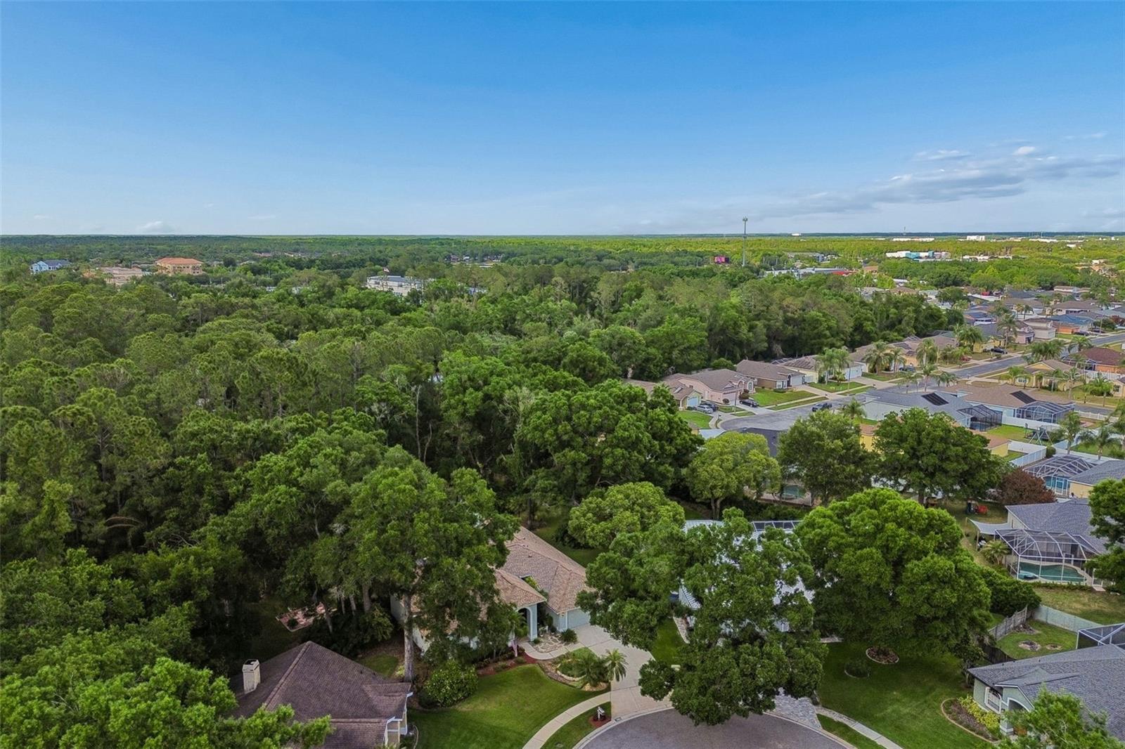 1661 WOODRIDGE CT, LUTZ, FL, 33559