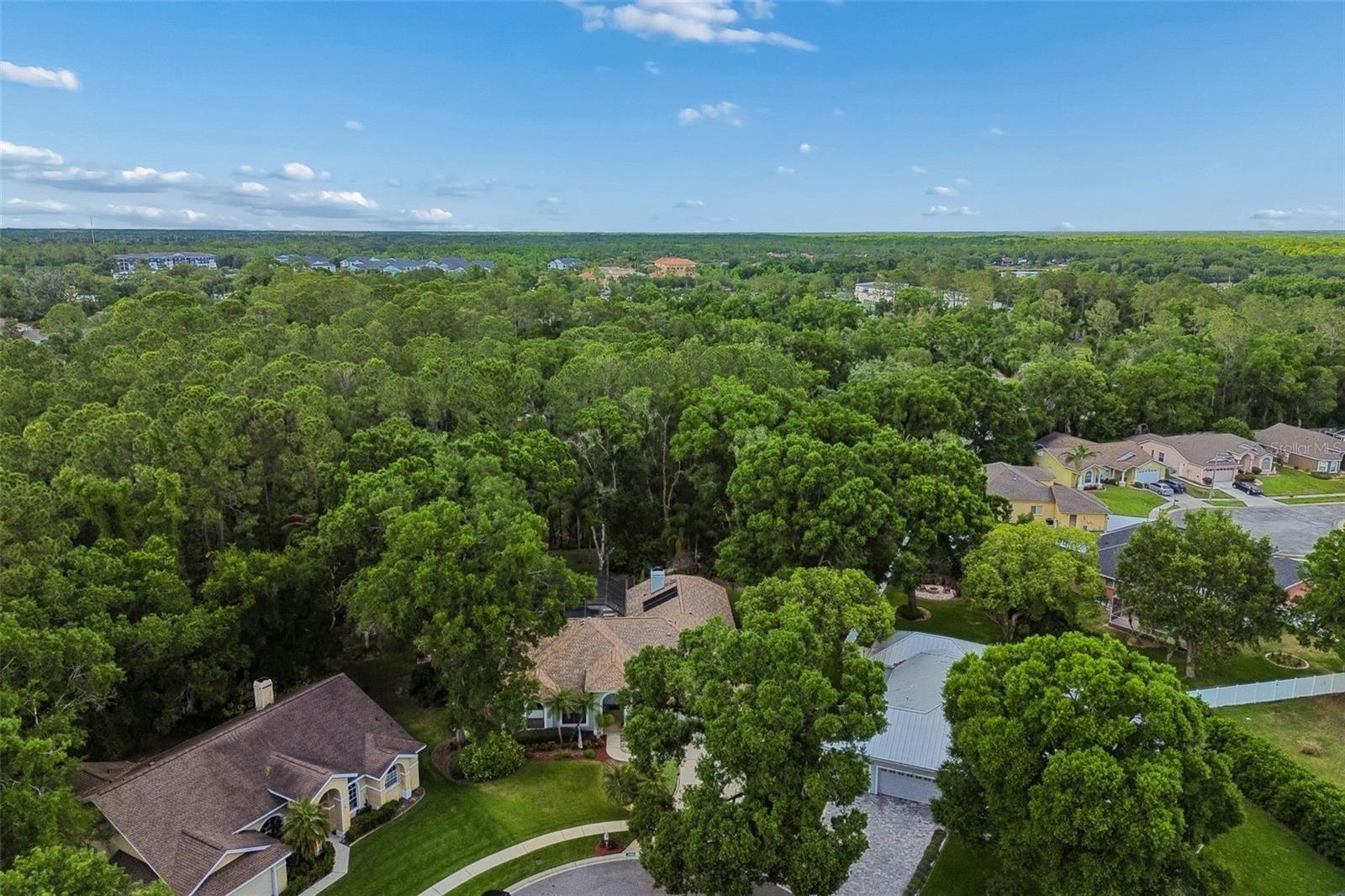 1661 WOODRIDGE CT, LUTZ, FL, 33559