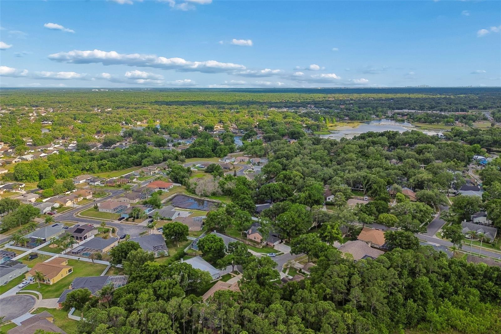 1661 WOODRIDGE CT, LUTZ, FL, 33559