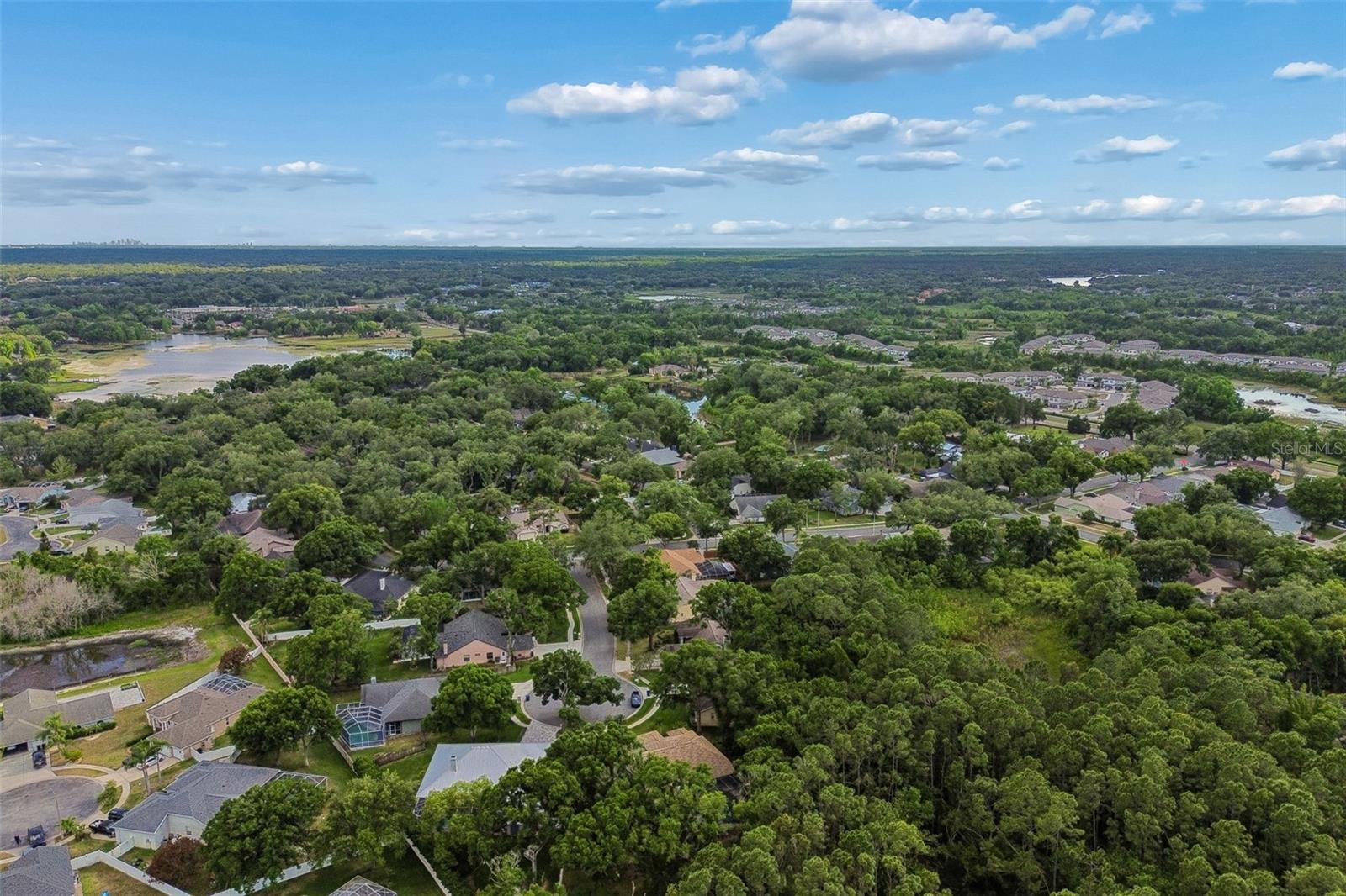 1661 WOODRIDGE CT, LUTZ, FL, 33559
