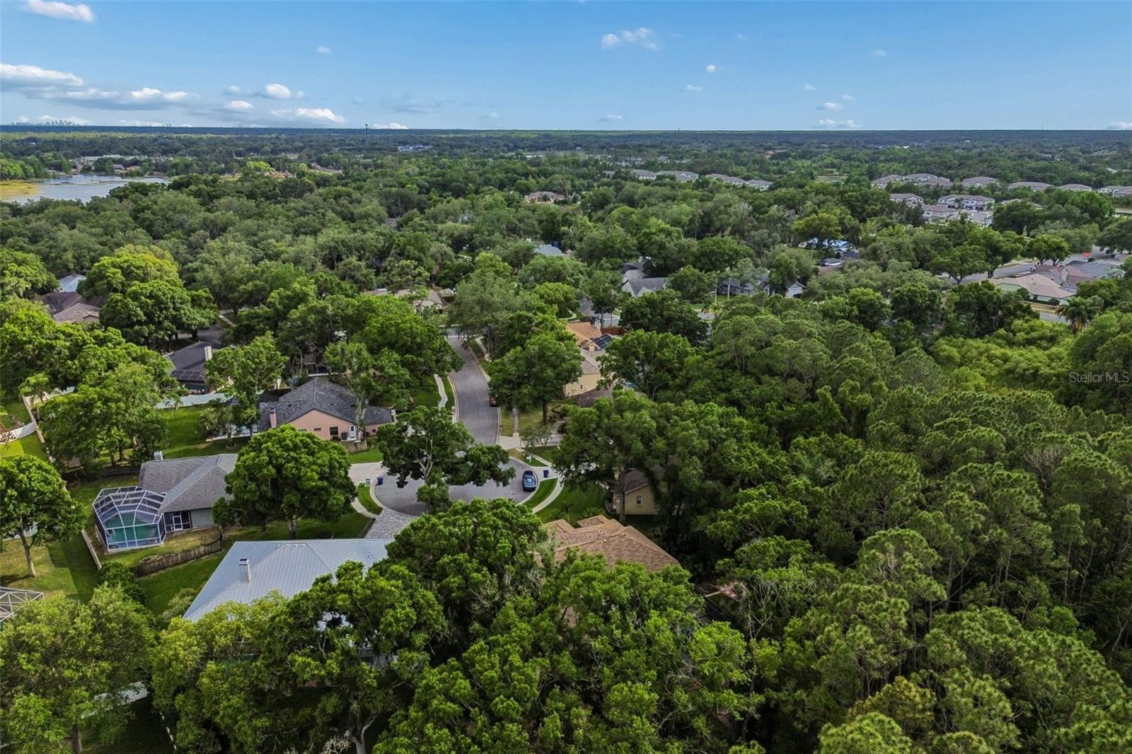 1661 WOODRIDGE CT, LUTZ, FL, 33559