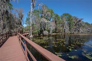 7996 EDGEWOOD FOREST DR, ORLANDO, FL, 32827