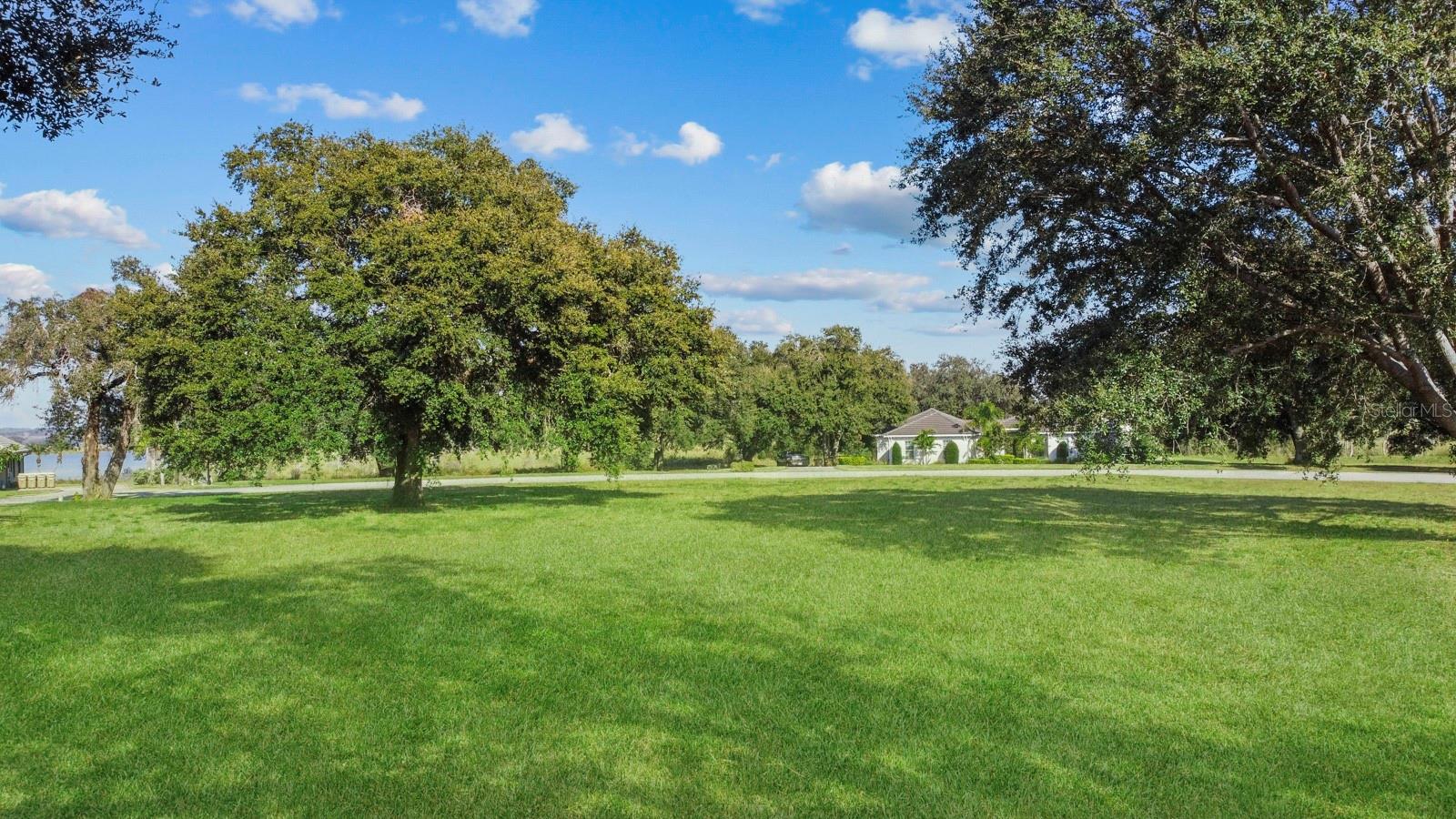 Lot 67 ROYAL PALM DR, GROVELAND, FL, 34736