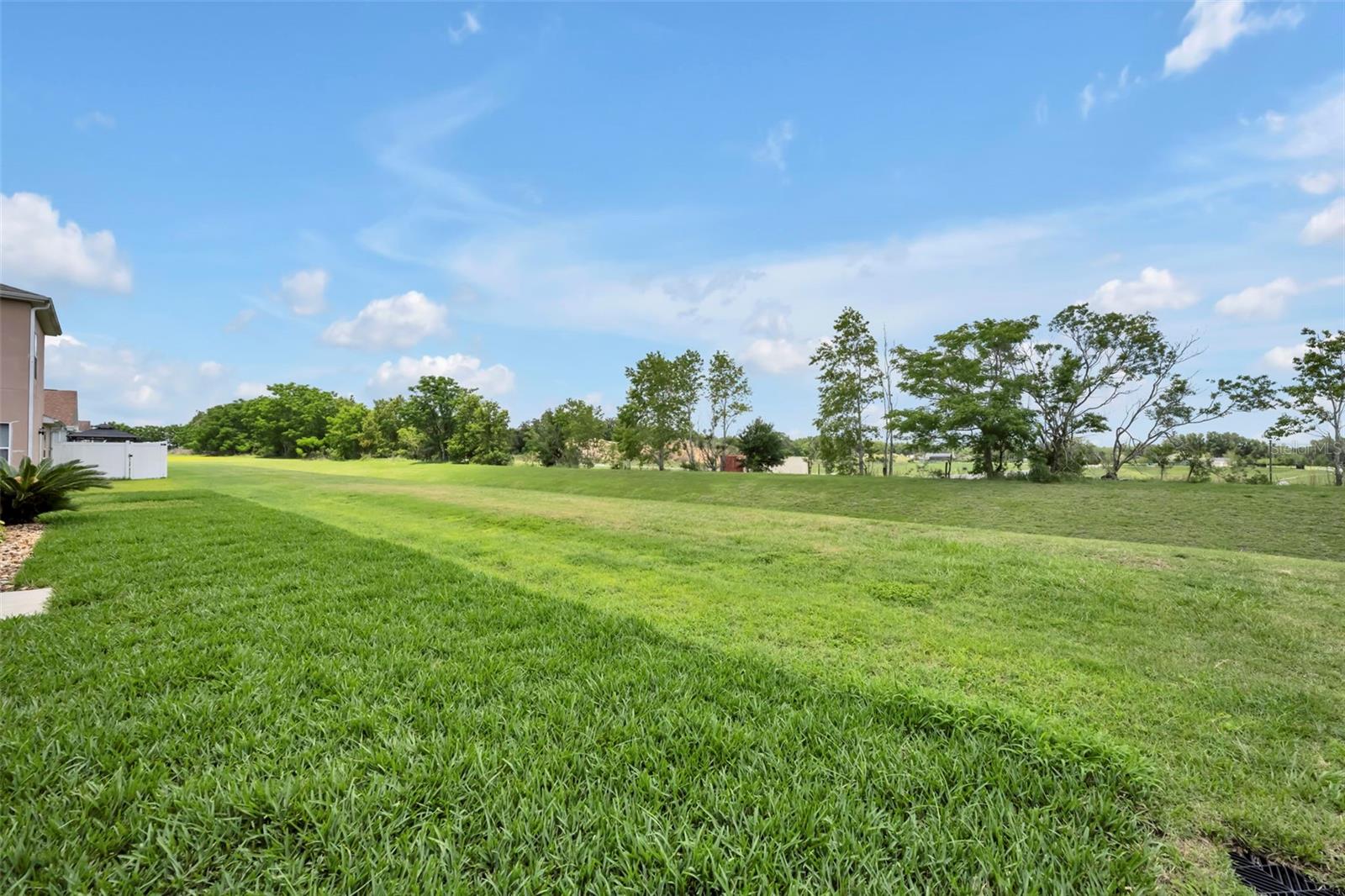 4946 NE 124TH RD, OXFORD, FL, 34484