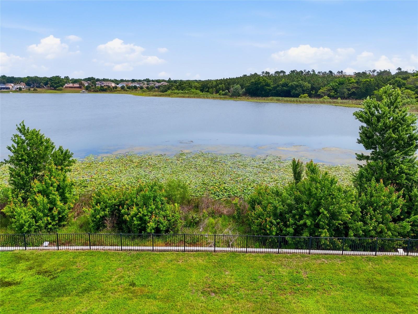 1383 WATERVIEW RIDGE CIR, APOPKA, FL, 32703