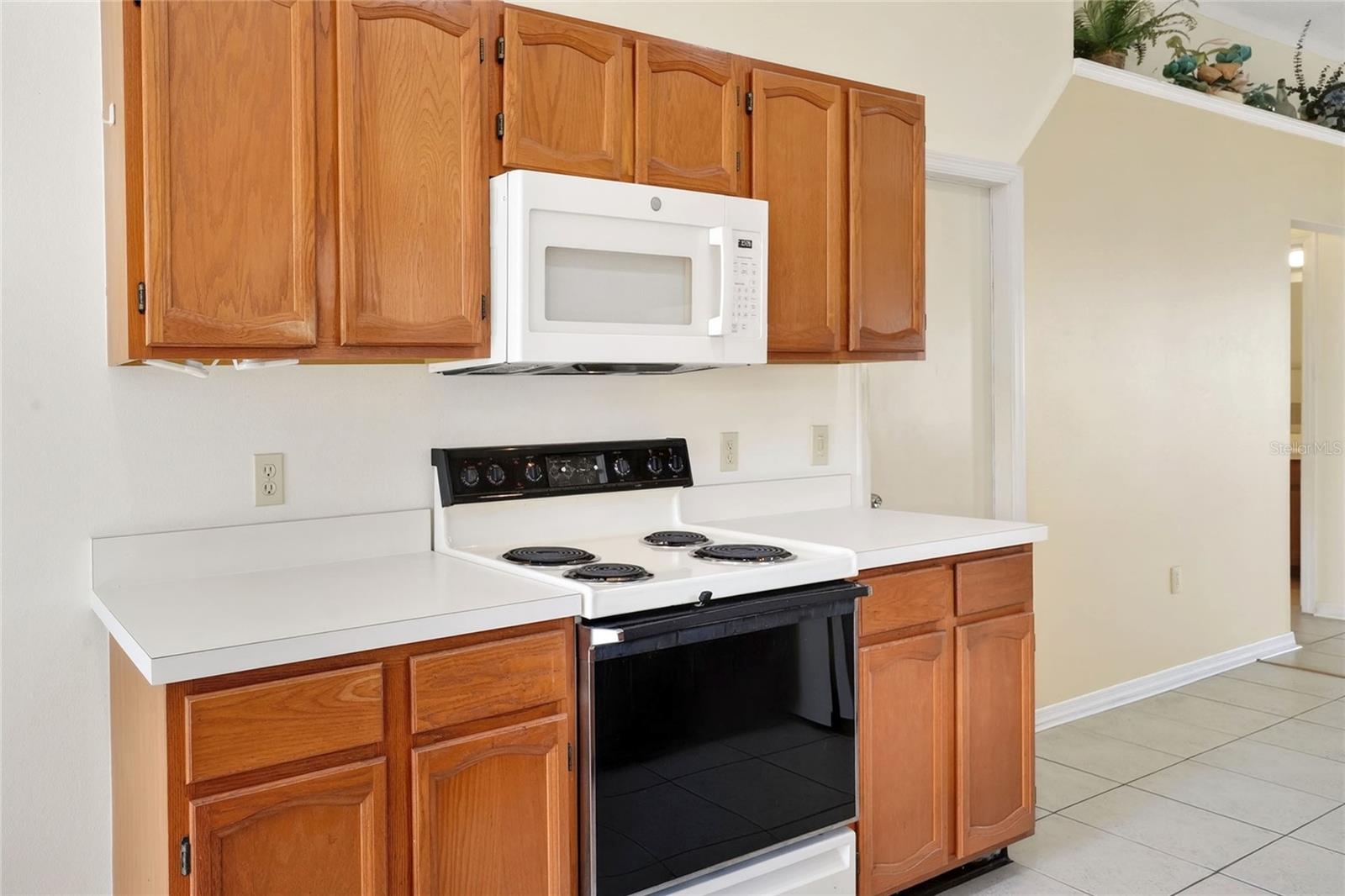 6264 PEACOCK RUN, LAKELAND, FL, 33809