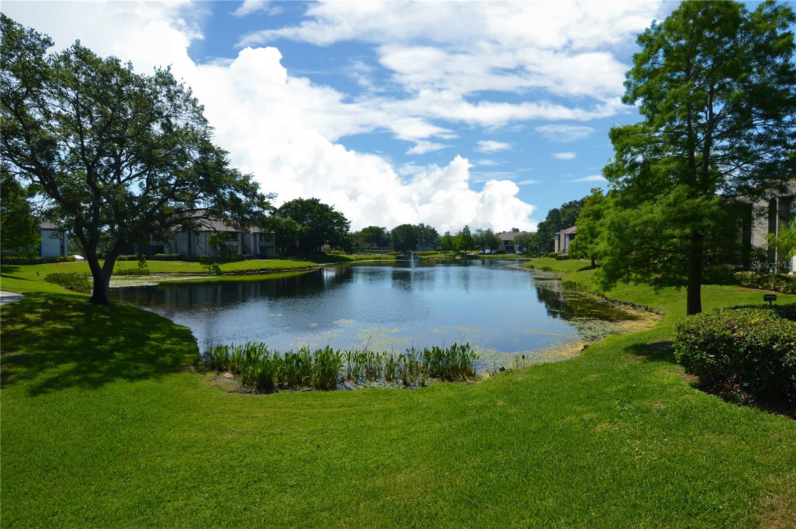 10265 GANDY BLVD N #1804, ST PETERSBURG, FL, 33702
