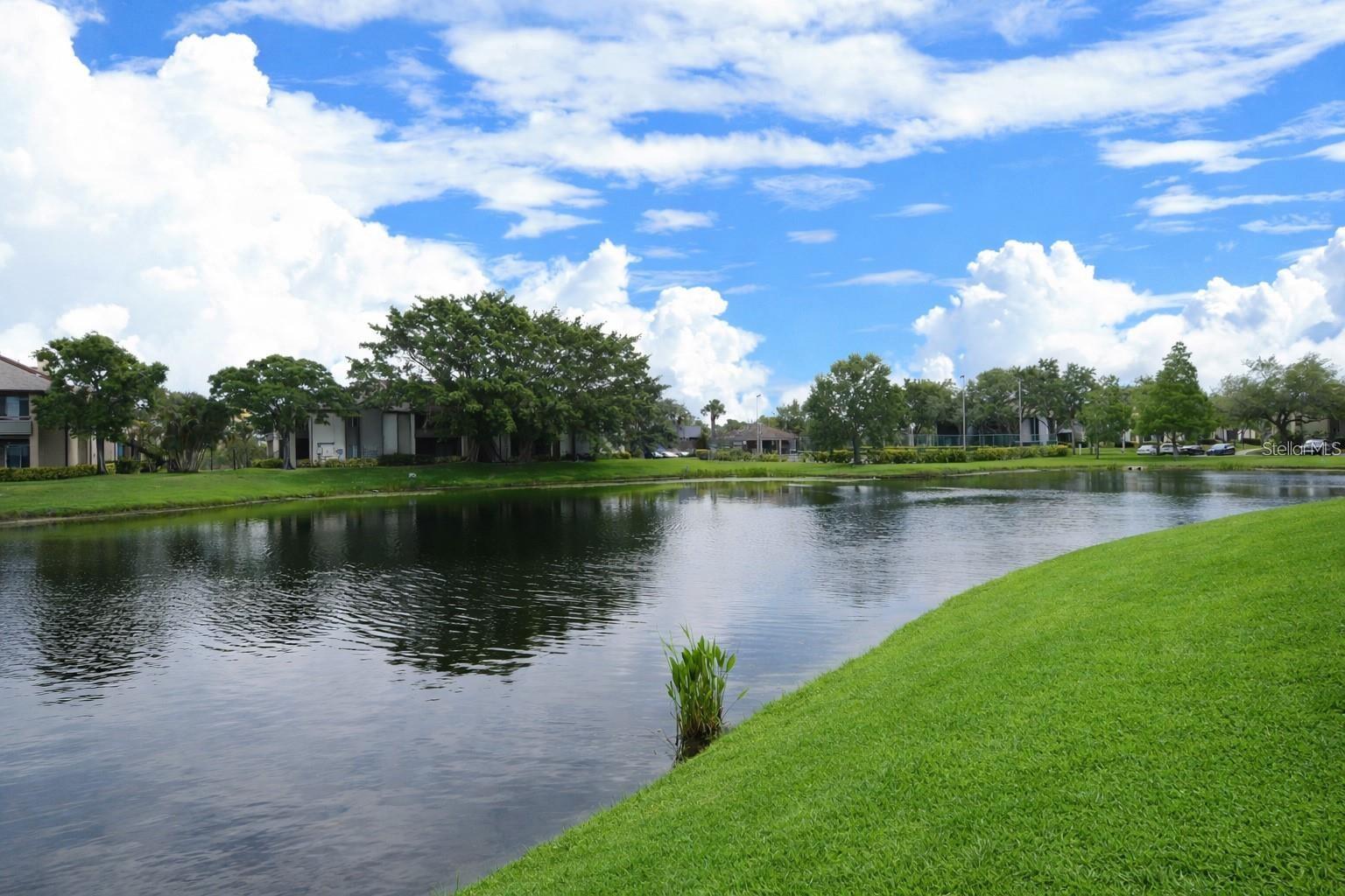 10265 GANDY BLVD N #1804, ST PETERSBURG, FL, 33702