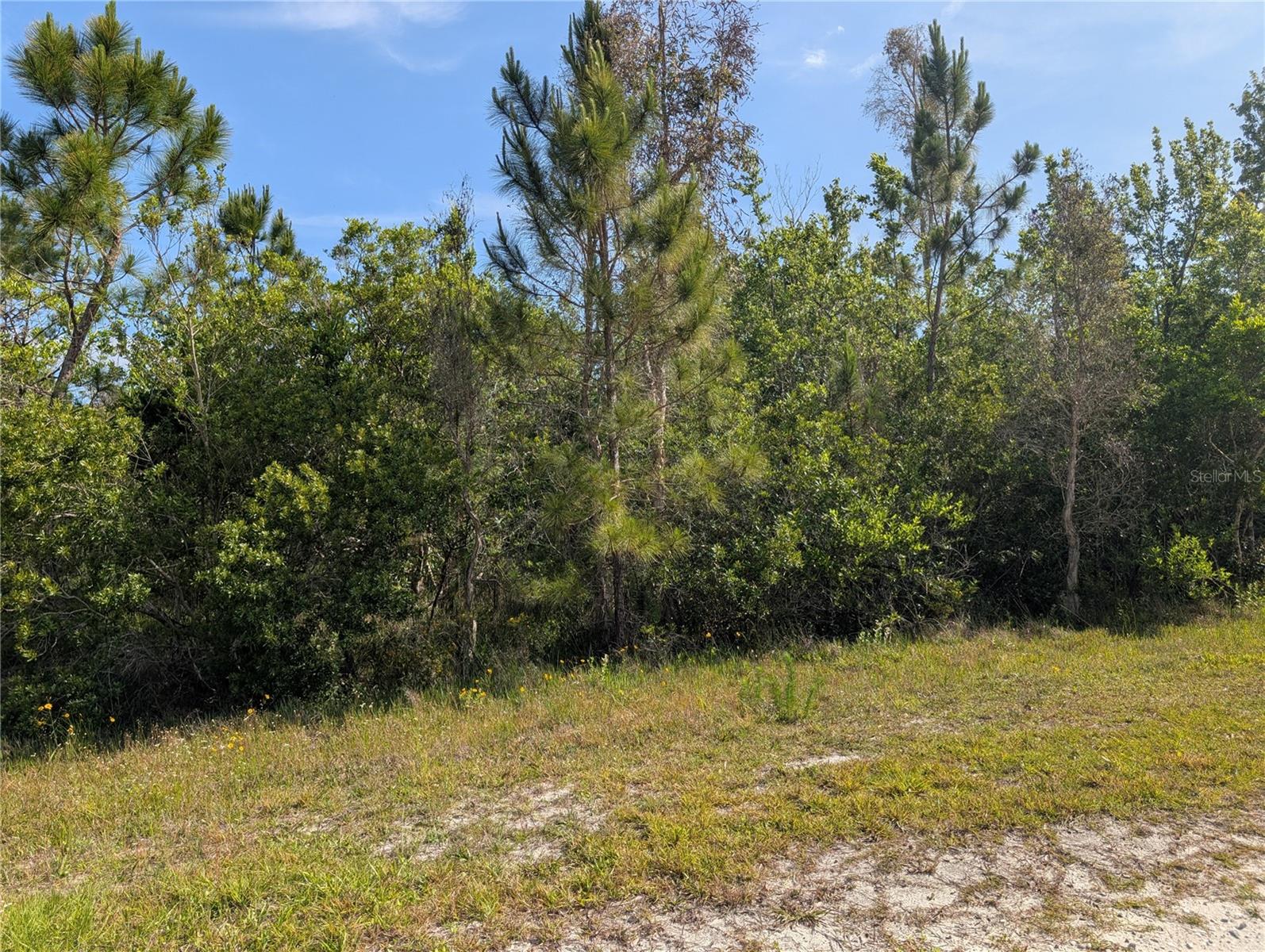 704 ORCHID DR, INDIAN LAKE ESTATES, FL, 33855
