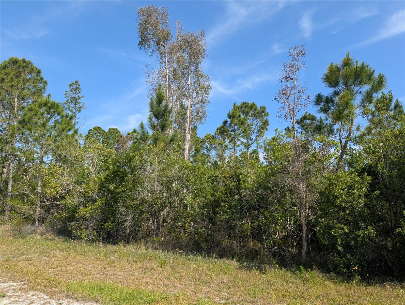 704 ORCHID DR, INDIAN LAKE ESTATES, FL, 33855