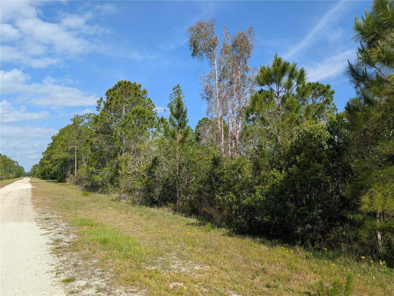 704 ORCHID DR, INDIAN LAKE ESTATES, FL, 33855