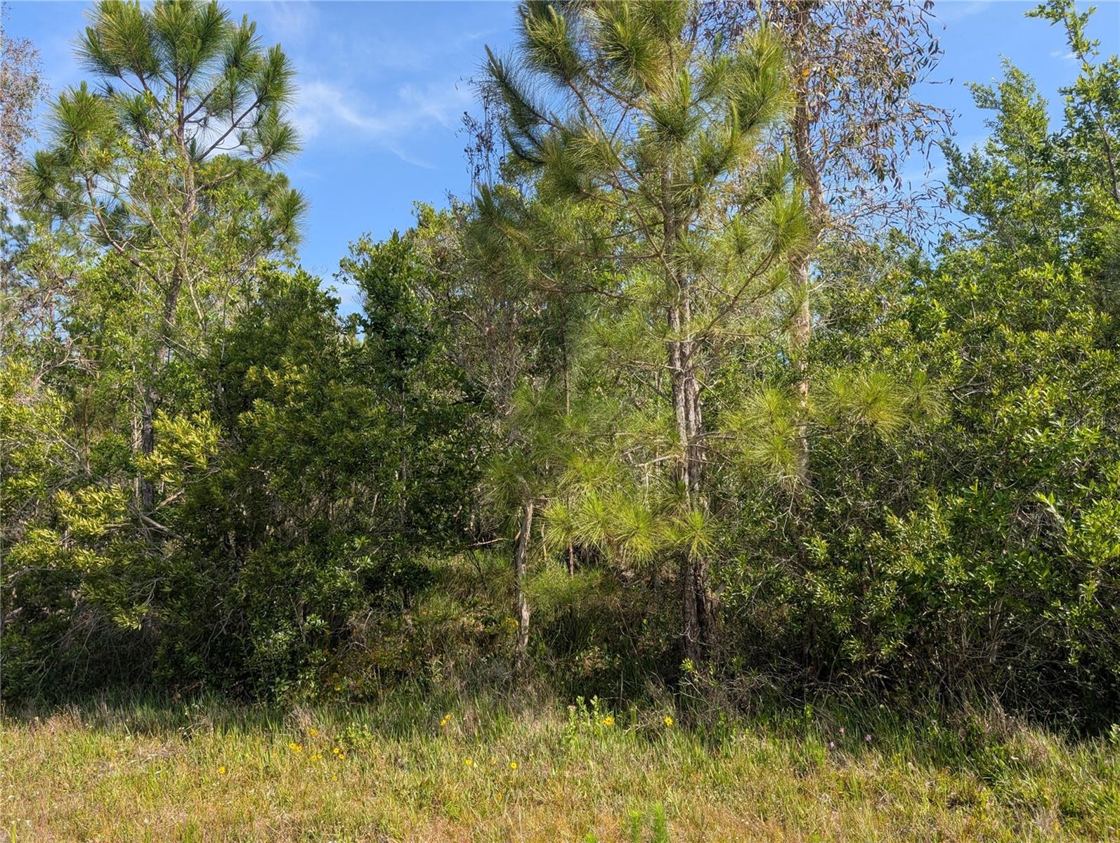 704 ORCHID DR, INDIAN LAKE ESTATES, FL, 33855