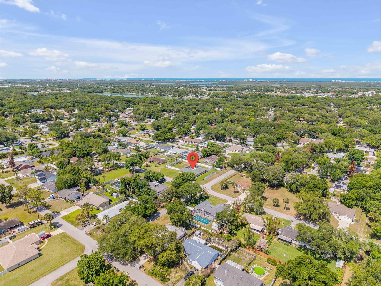 1529 SABAL PALM DR, EDGEWATER, FL, 32132