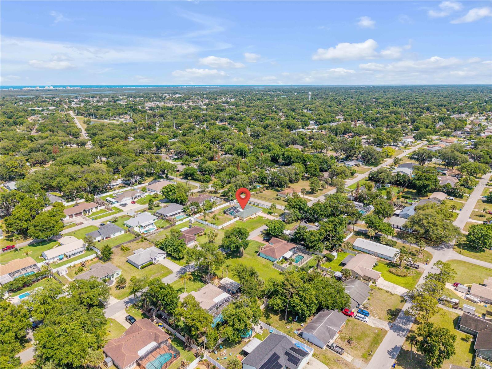 1529 SABAL PALM DR, EDGEWATER, FL, 32132