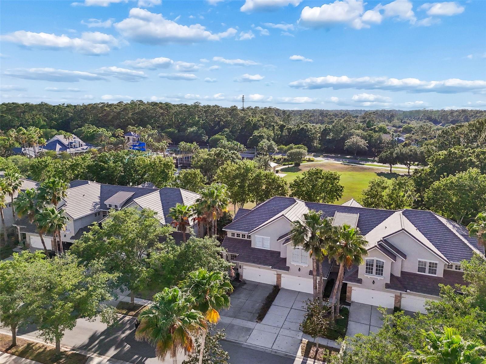 14413 MIRABELLE VISTA CIR, TAMPA, FL, 33626