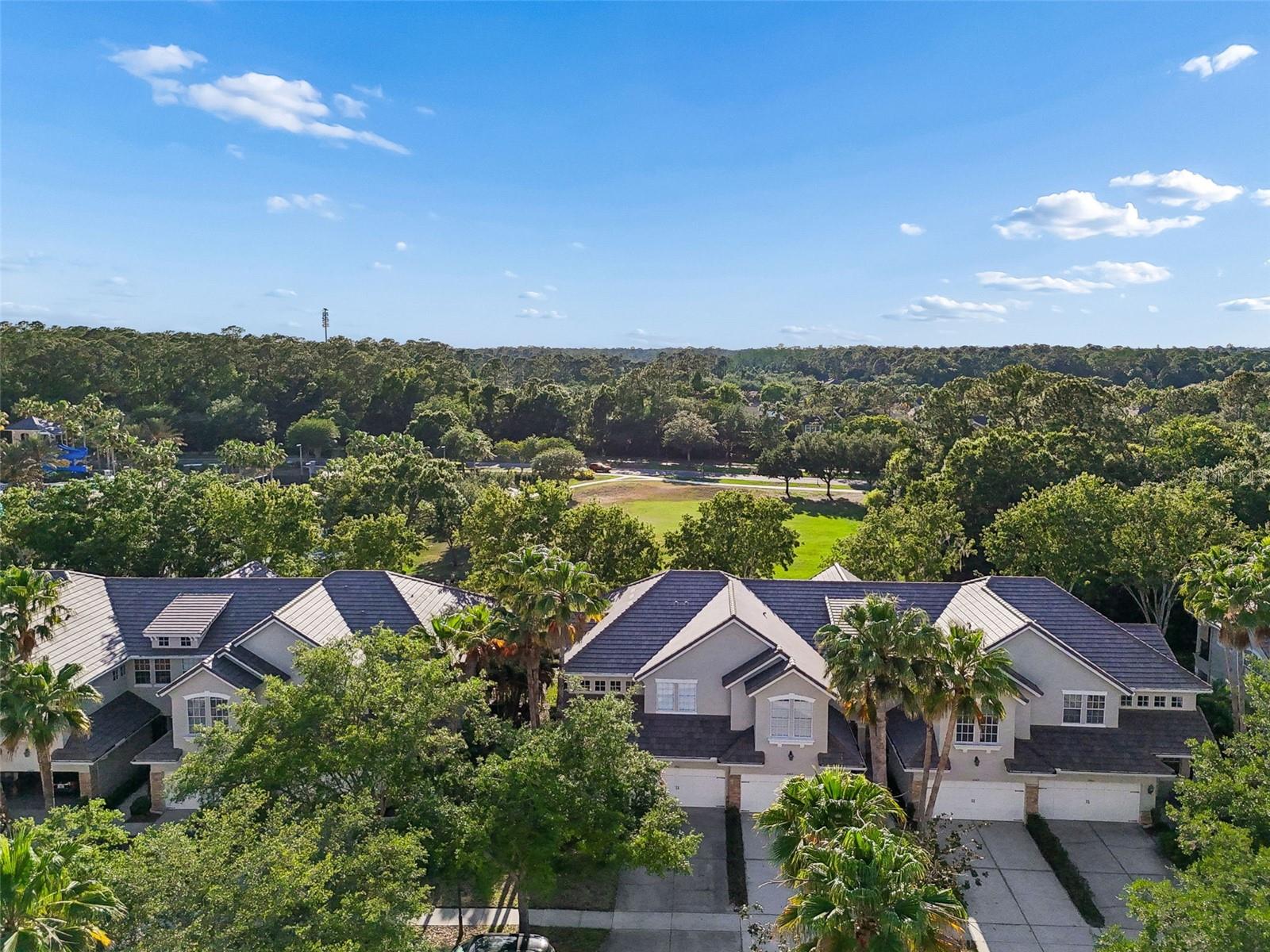 14413 MIRABELLE VISTA CIR, TAMPA, FL, 33626