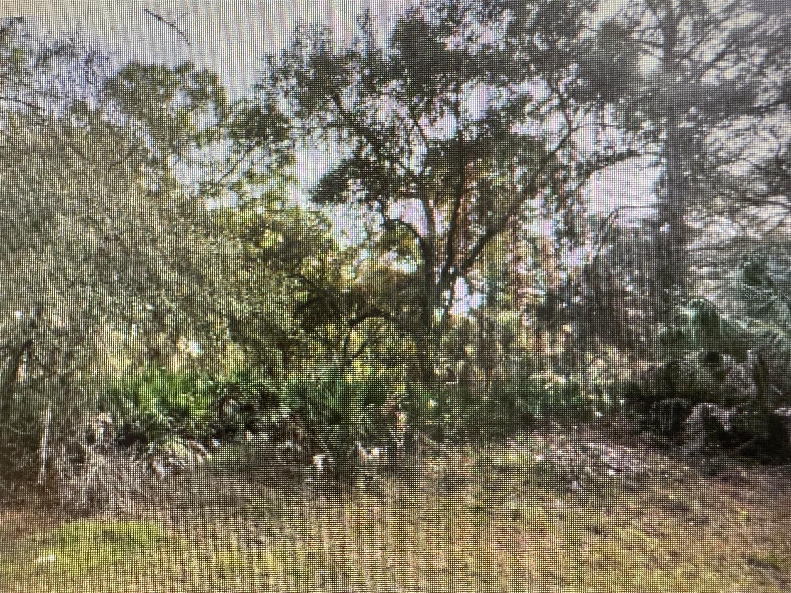 TROLLEY RD, NORTH PORT, FL, 34291