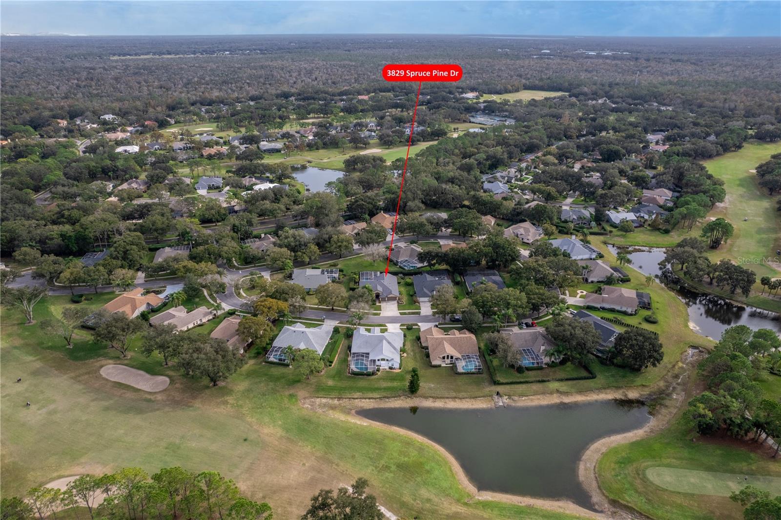 3829 SPRUCE PINE DR, VALRICO, FL, 33596
