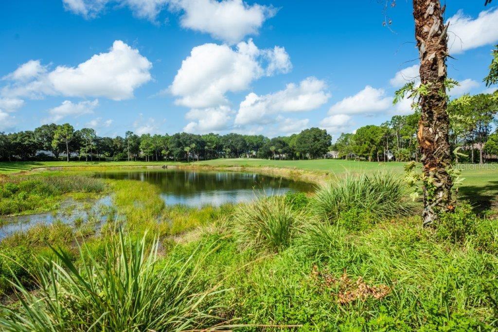 3829 SPRUCE PINE DR, VALRICO, FL, 33596