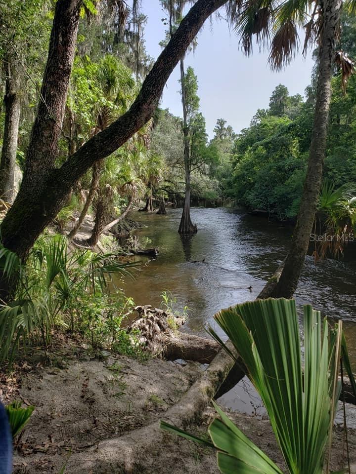 3829 SPRUCE PINE DR, VALRICO, FL, 33596