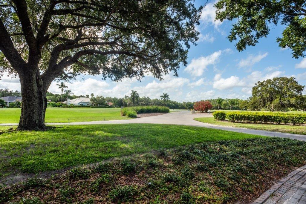 3829 SPRUCE PINE DR, VALRICO, FL, 33596